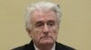 The Netherlands -- Former Bosnian Serb leader Radovan Karadzic appears before the Appeals Chamber of the International Residual Mechanism for Criminal Tribunals ("Mechanism") ruling on a appeal of his 40 year sentence for war crimes in The Hague, Netherla