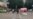 Finnish Police Say Two Killed In Knife Attack