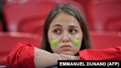 Бразилиянын капаланган күйөрманы