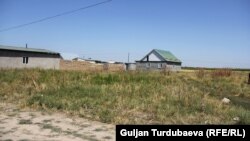 Иллюстратив фото