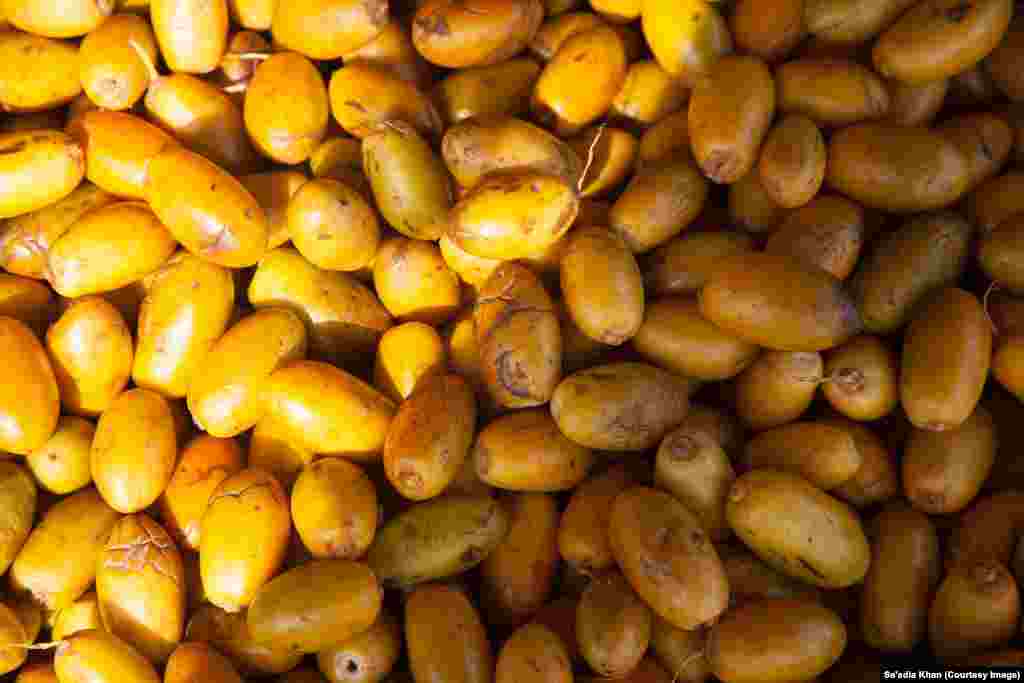 Dates that have been cooked and are ready to be dried in the sun. This process can take up to a week. If it rains, the produce is gathered and taken into storage to be re-laid once the rain has stopped and the ground is dry again.