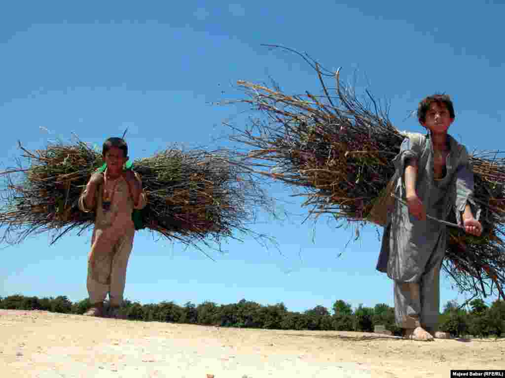 Children carry heavy loads in Peshawar, northwest Pakistan.