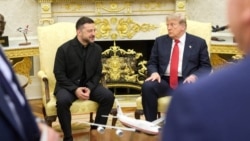 Владимир Зеленский и Дональд Трамп