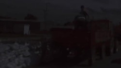 Budali je more do koljena