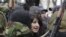 В обоих случаях наличествуют накопившиеся за многие годы протестные настроения в обществе, патронаж России и лоббирование ею «своих кандидатов», розыгрыш в предвыборной борьбе «грузинской карты», ценз оседлости для кандидатов, то, что на руках у населения