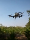 Від FPV-дронів потрібен комплекс заходів, тільки сіток недостатньо, кажуть експерти