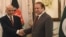 Afghan President Ashraf Ghani (L) and Pakistani Prime Minister Nawaz Sharif shake hands in November 2014.