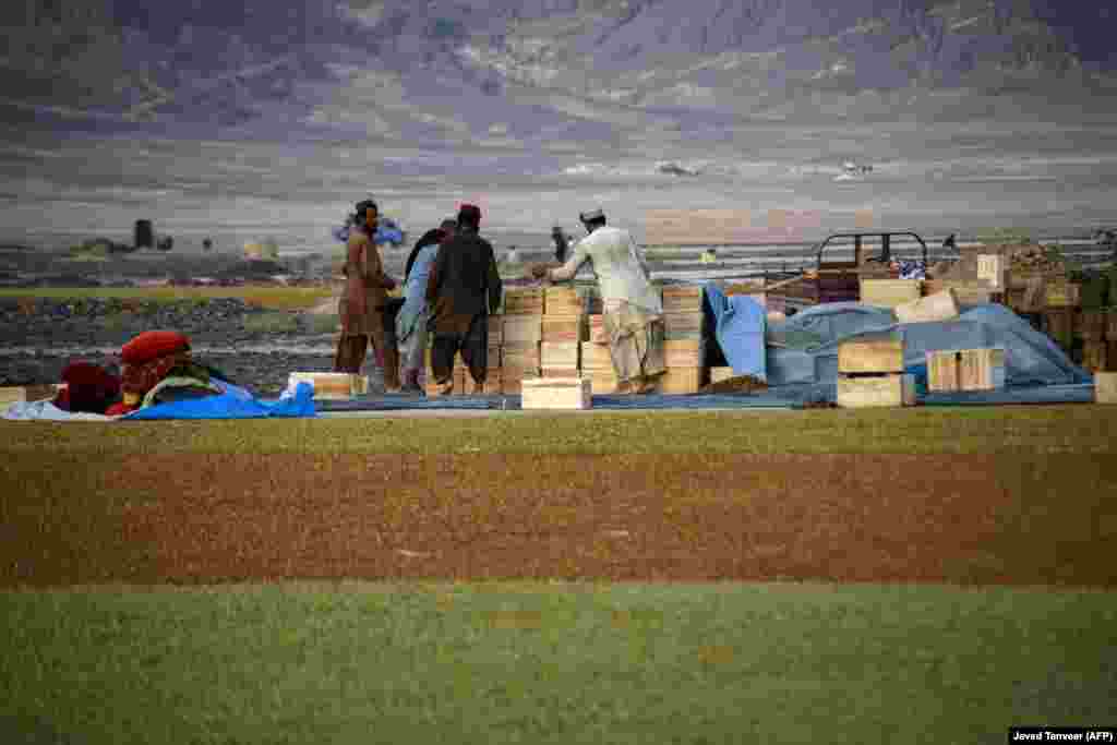 Fermieri afgani lucrează la o fermă de struguri care face produce stafide din Kandahar. &nbsp;