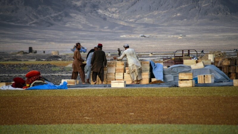 Talibanët vendosin taksa 'bamirësie' për fermerët që kanë nevojë për ndihmë 
