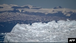 Дрейфующий айсберг у восточных берегов Гренландии. Снимок сделан 13 августа 2023 года