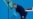 16x9 Image