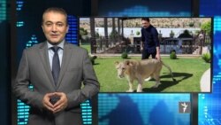 خبرهای مهم جهان در ستودیوی آزادی