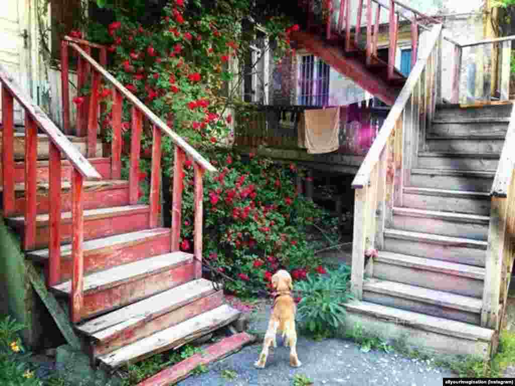 allyourimagination-ის ინსტაგრამის არხზე ნახეთ სხვა ფოტოები