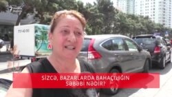 Sizcə, bahaçılığın əsas səbəbi nədir?