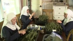 Marixuana becərən "rahibələr"