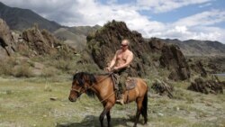 Антрополог Кристен Годси о параде мачо в мировой политике