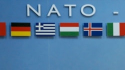 Građani Podgorice o NATO pozivnici