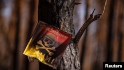 «Это – самые большие экологические потери, зафиксированные в Европе в современной истории», – заявили в ведомстве