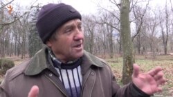 Сімферопольці про роботу кримського уряду: дуже погано, так не можна! (відео)