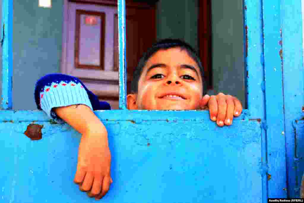 Sarıqamışın balaca sakini.