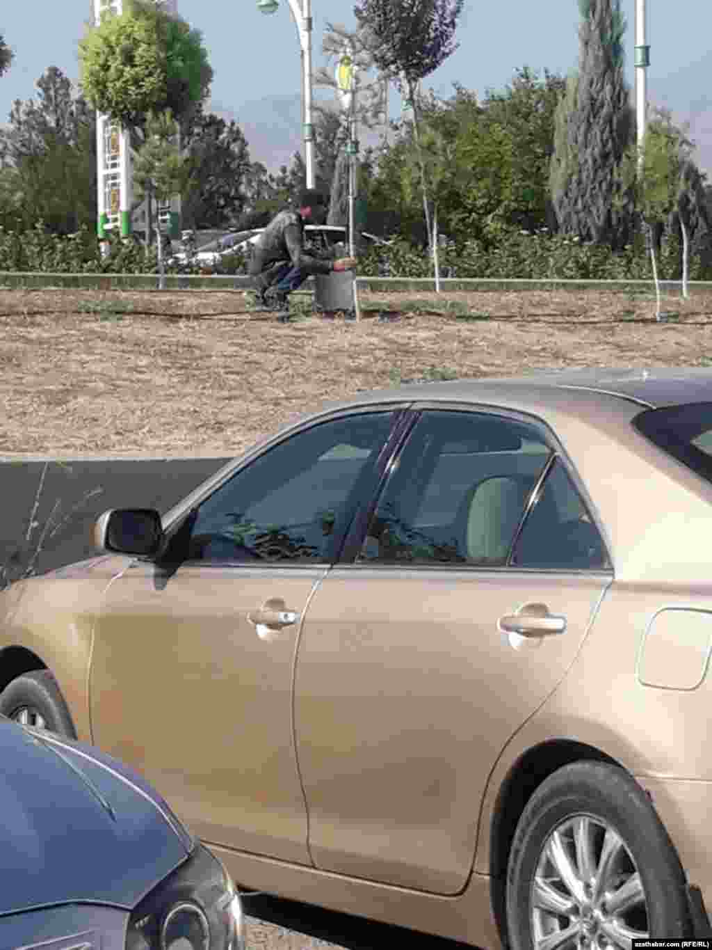 Aşgabat. Jemagat hojalygynyň işgärleriniň bir topary baglary hek bilen agatrsa, beýlekileri suwarmak bilen meşgul. Awgust, 2020.&nbsp;