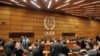 IAEA Chief Says Iran Nuclear Dispute 'Needs To Be Defused'