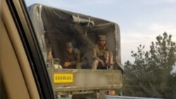 Diňle: Gullukdaky iýmit ýeter-ýetmezçiligi esgerleriň otlap ýören mallary “ogurlamagyna getirýär”