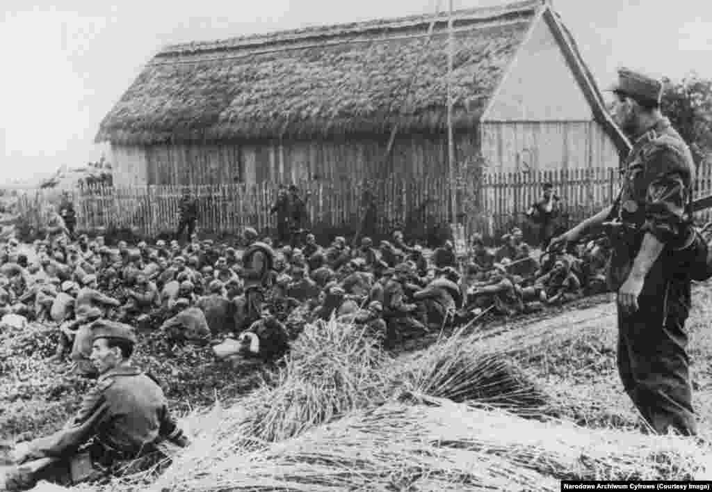 Группа советских военнопленных, захваченных фашистскими войсками. Около половины советских военнопленных, удерживаемых Германией, умерли в неволе. Смертность среди американских и британских пленных составляла четыре процента.&nbsp;