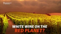 White Wine On The Red Planet