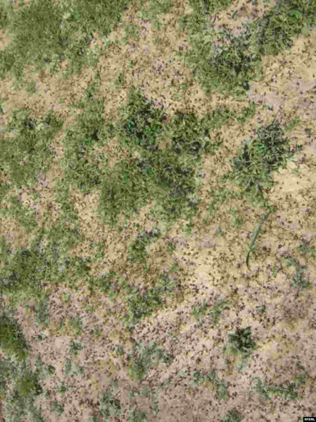 Ҳамлаи малах ба Хатлон #14