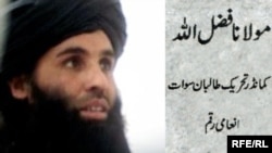 Maulvi Fazlullah