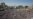 Protesters Mob Cairo's Tahrir Square