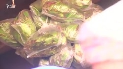 Яманиҳо бекориву камбуди ғизоро бо истеъмоли қот(тамоку) ҷуброн мекунанд