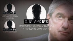 В США у олигархов из России спрашивали, не финансировали ли они кампанию Трампа (видео)
