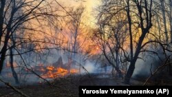 Причин масштабних пожеж у зоні відчуження може бути кілька, вважає голова ДАЗВ Катерина Павлова