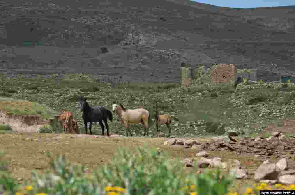 Armenia -- Treasures of Urtsasar mountains, 25Jun2012