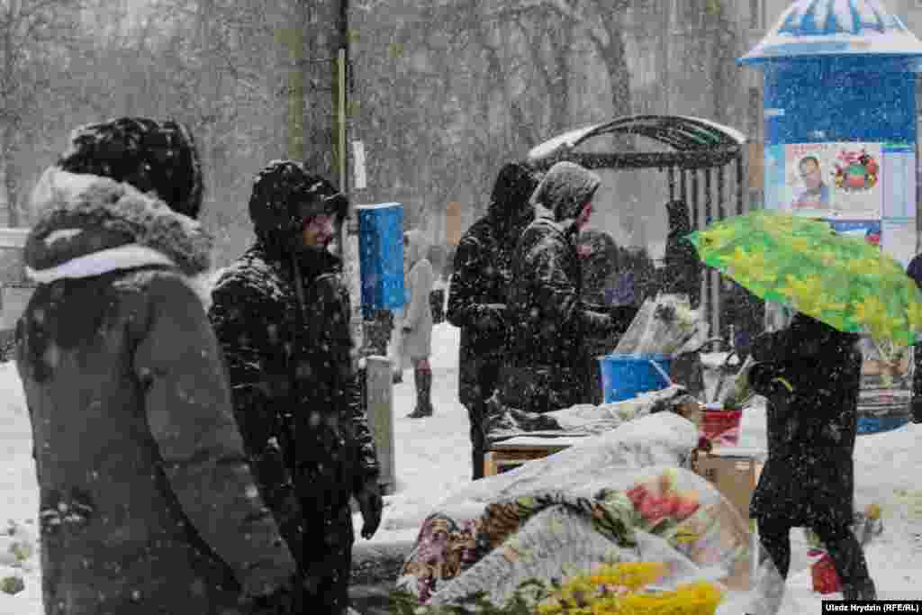 Сьнег не перашкода для кветак