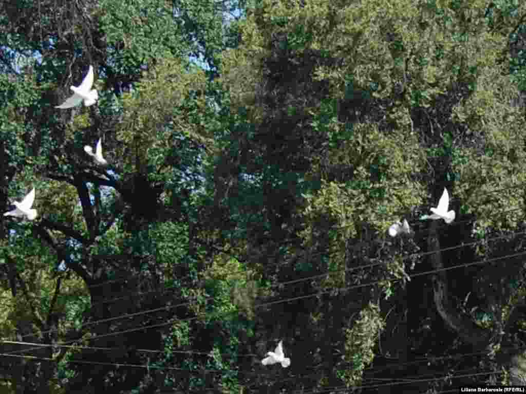 600 de porumbei au zburat de asupra Pietei Marii Adunari Nationale din Chisinau