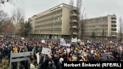 Protest univerzitetskih profesora i istraživača u znak podrške studentskim blokadama u Srbiji, Novi Sad, 18.1.2025. 