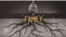 Documentarul „Familia” abordează și presupuse legături între o organizație americană și România.