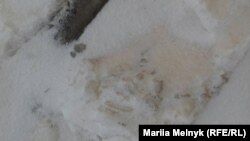 На кольоровий сніг, що випав у деяких районах Одещини вночі, звернули увагу користувачі соцмереж