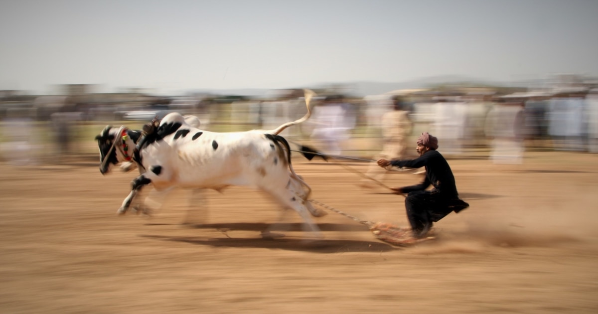 Photos Of The Week No. 26
