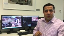 Дар Покистон сагҳои хиёбонӣ парасторе пайдо карданд.