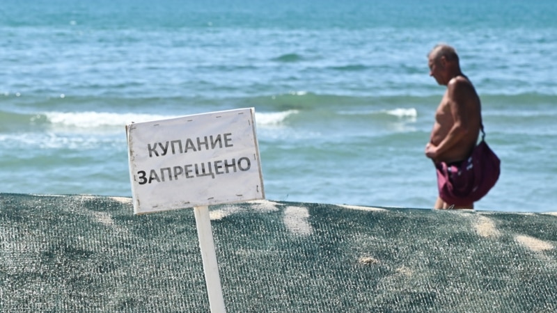 Власти Кубани скрывали масштабный разлив пальмового масла в море
