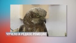 Редчайшая профессия и нищета третьего возраста
