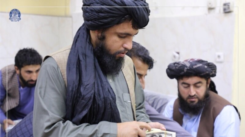 ایا طالبان رښتیا له پاکستاني چارواکو قلنګ اخلي؟
