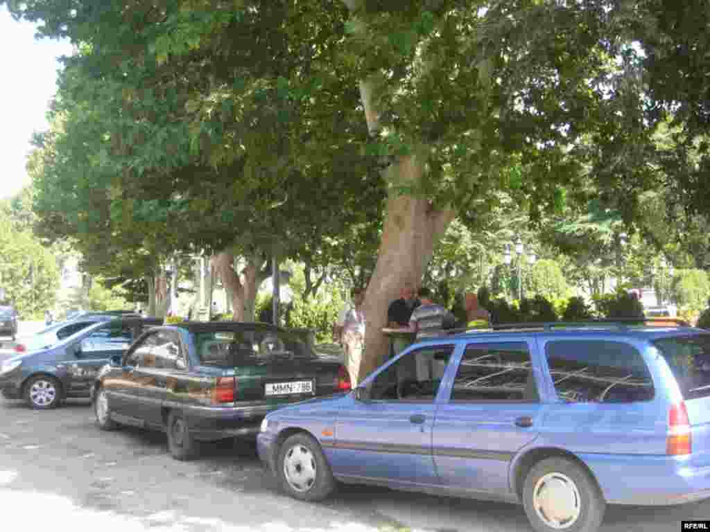 "Meydan"da yaşayanlar... #16