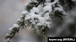 Навкруги все біле-біле: до Сімферополя на кілька годин завітала зима (фотогалерея)