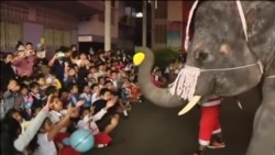 Slonovi donose božićnu radost deci Tajlanda