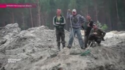 В Западной Украине «янтарная лихорадка» (видео)